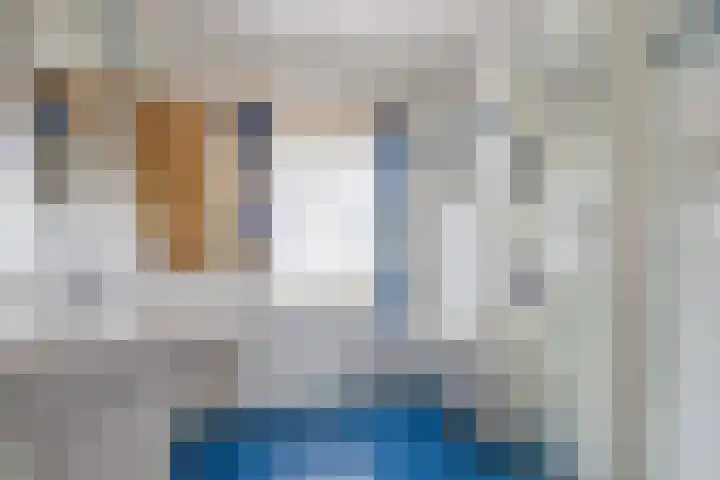 Beersbeemden 2 Duizel thumbnail 25