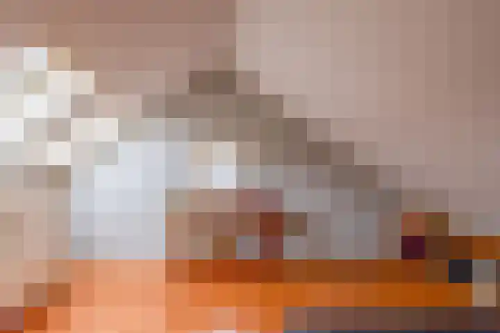 Beersbeemden 2 Duizel thumbnail 28