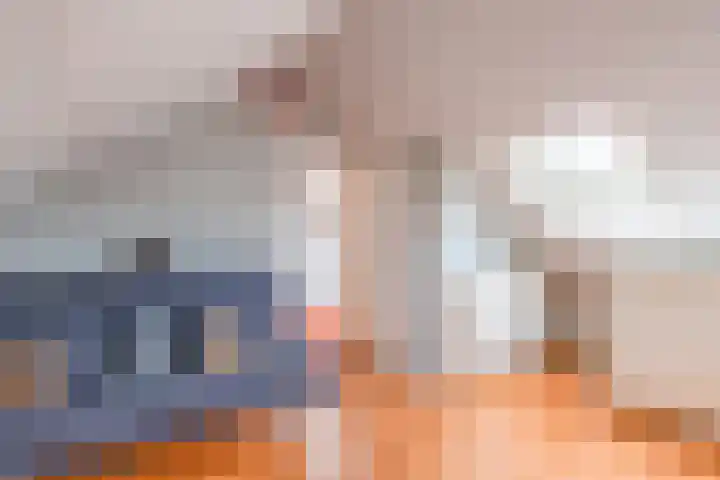 Beersbeemden 2 Duizel thumbnail 29