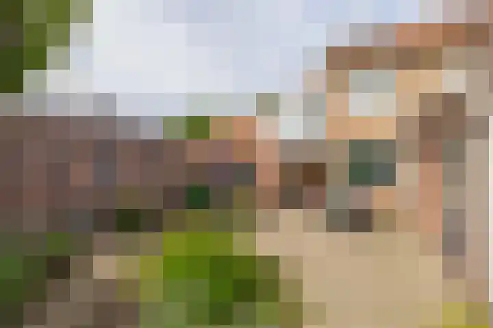 Beersbeemden 2 Duizel thumbnail 32