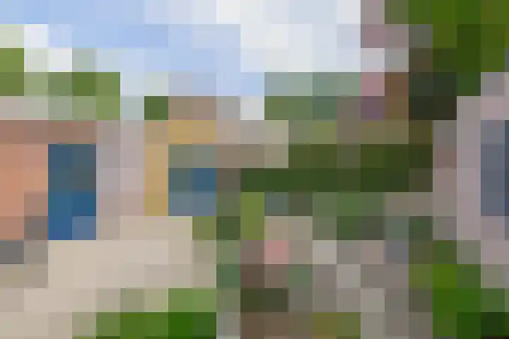 Beersbeemden 2 Duizel thumbnail 34
