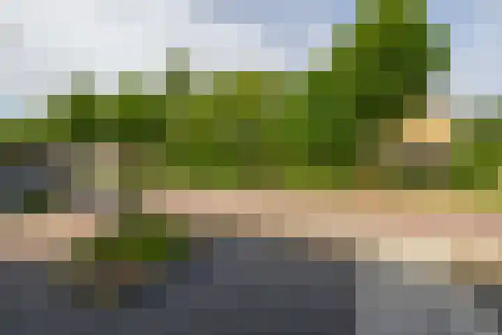 Beersbeemden 2 Duizel thumbnail 37