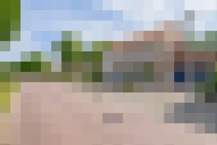 Beersbeemden 2 Duizel thumbnail 41