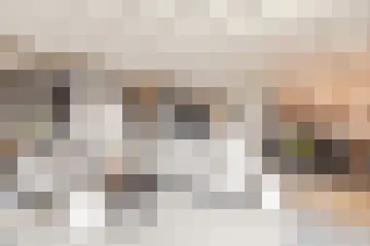 Beerseweg 37 Cuijk thumbnail 10