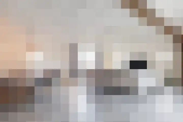 Beerseweg 37 Cuijk thumbnail 12