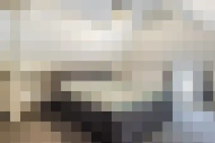 Beerseweg 37 Cuijk thumbnail 25