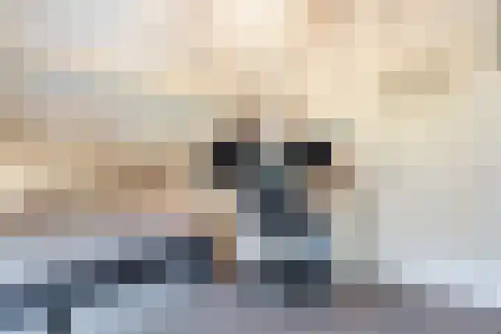 Beerseweg 37 Cuijk thumbnail 27