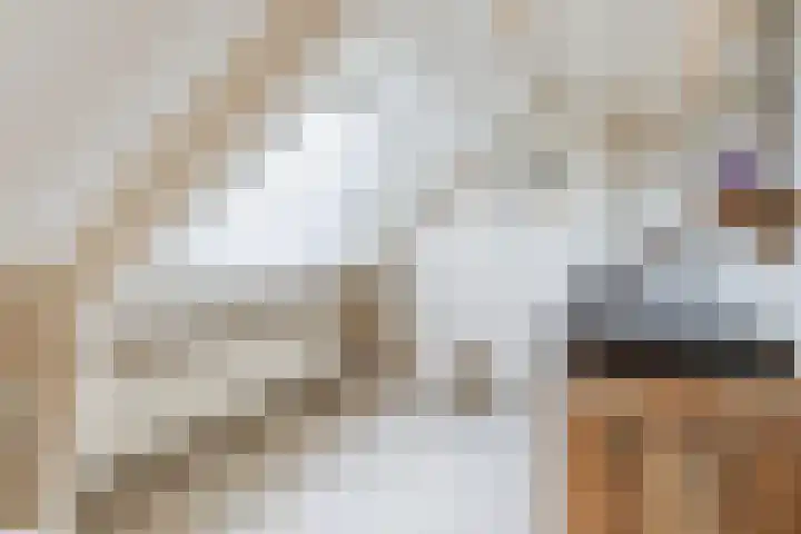 Beerseweg 37 Cuijk thumbnail 33