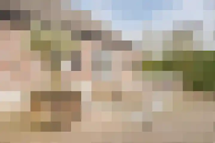 Beerseweg 37 Cuijk thumbnail 40