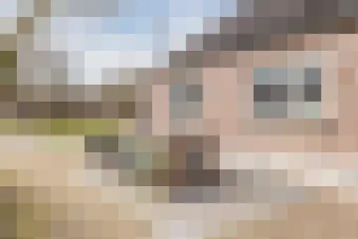 Beerseweg 37 Cuijk thumbnail 41