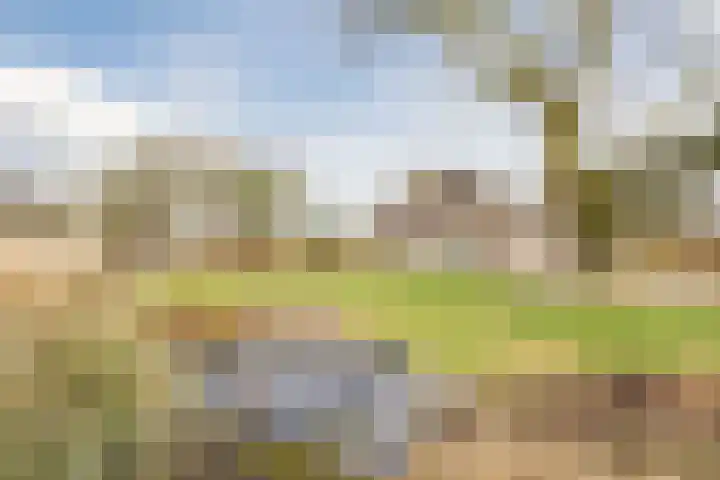Beerseweg 37 Cuijk thumbnail 44