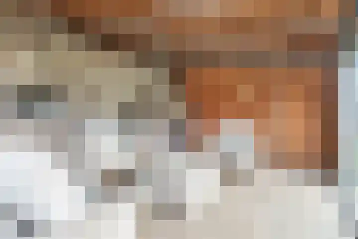 Beerseweg 37 Cuijk thumbnail 47