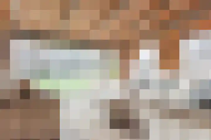 Beerseweg 37 Cuijk thumbnail 48