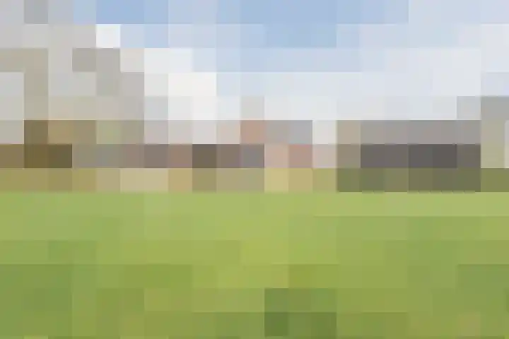 Beerseweg 37 Cuijk thumbnail 49