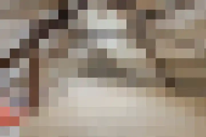 Beerseweg 37 Cuijk thumbnail 52
