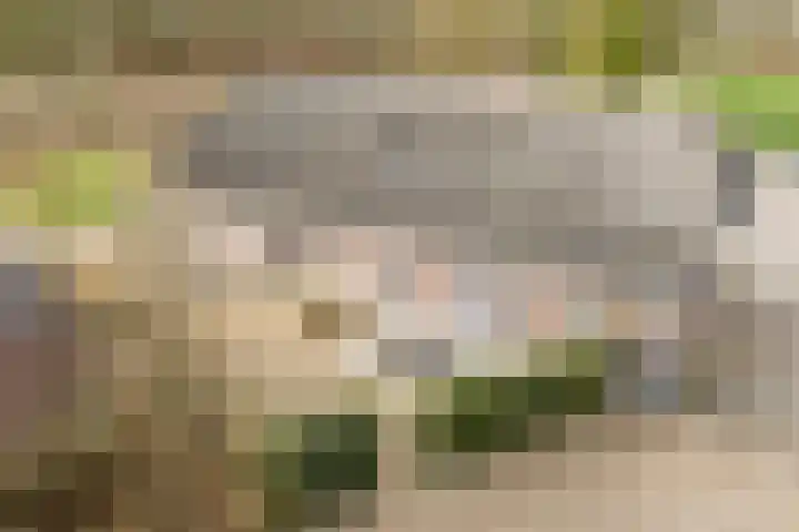 Beerseweg 37 Cuijk thumbnail 58