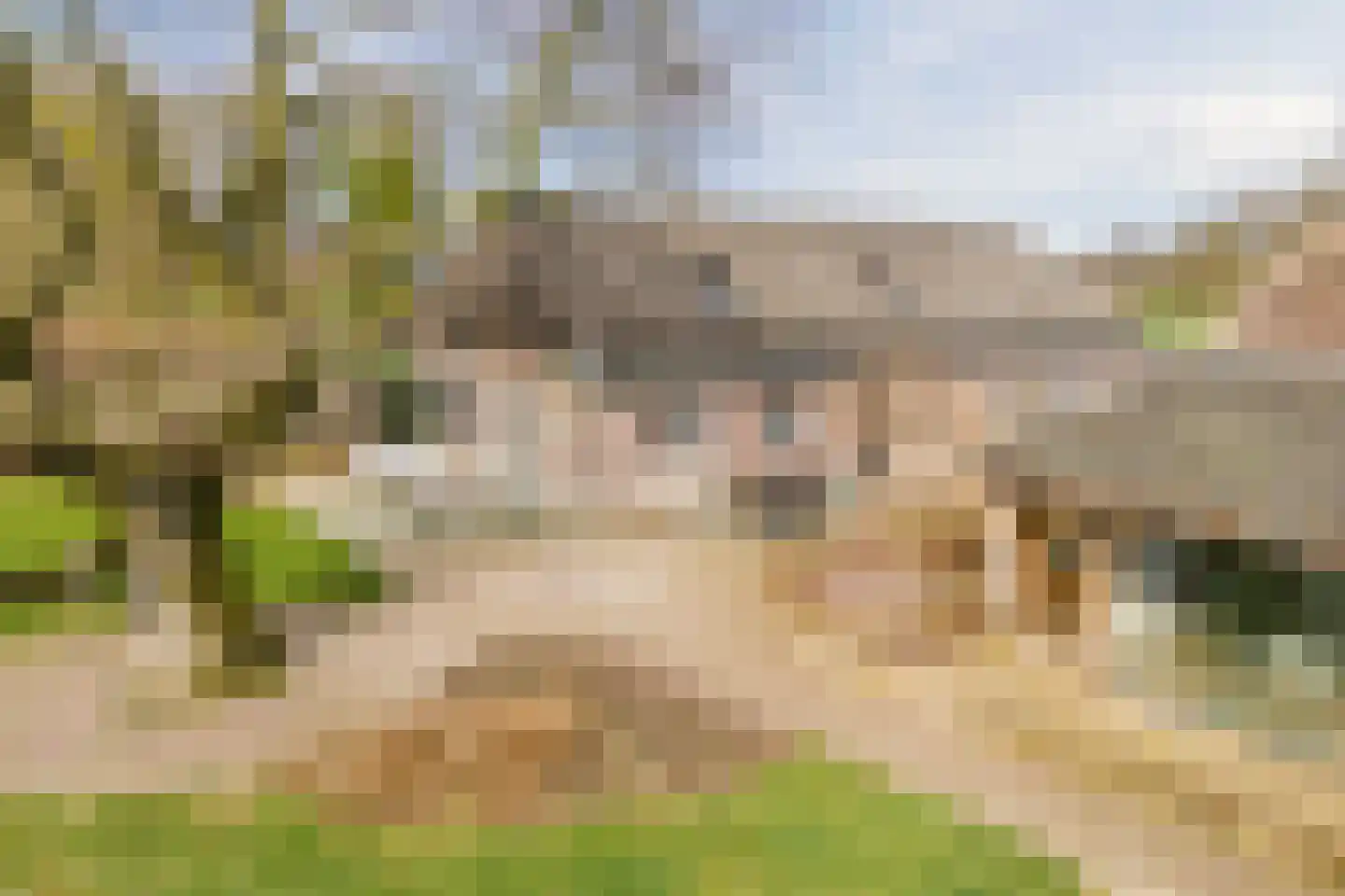 Beerseweg 37 Cuijk thumbnail 67