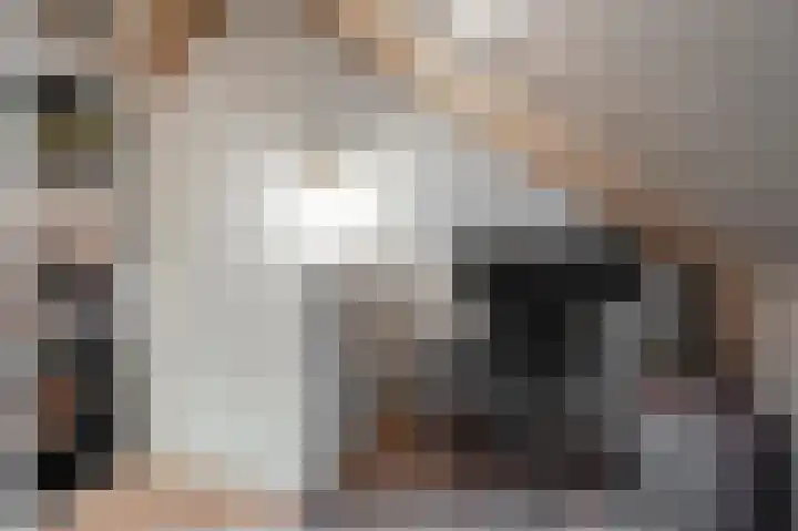 Beersluis 20 Culemborg thumbnail 26