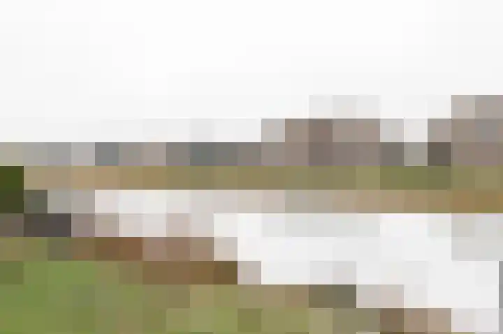 Beersluis 20 Culemborg thumbnail 33