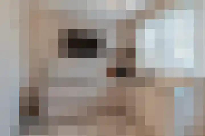 Beersluis 20 Culemborg thumbnail 6