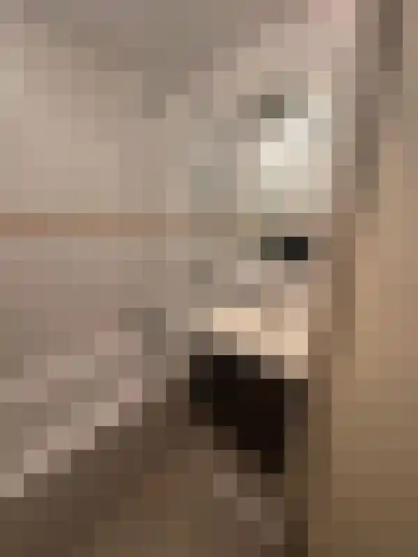 Beerze 81 Rotterdam thumbnail 5