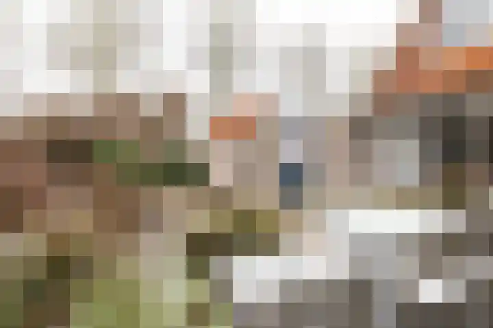 Beerzepad 8 Culemborg thumbnail 20