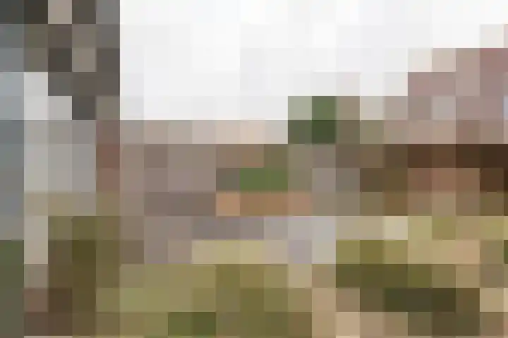 Beerzepad 8 Culemborg thumbnail 21