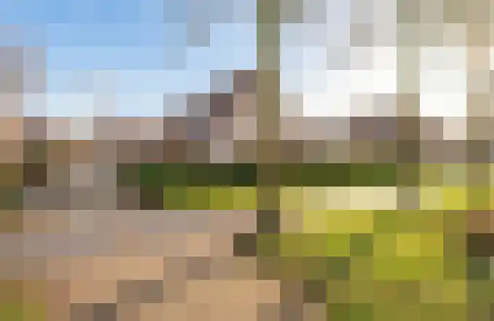 Beerzepad 8 Culemborg thumbnail 36