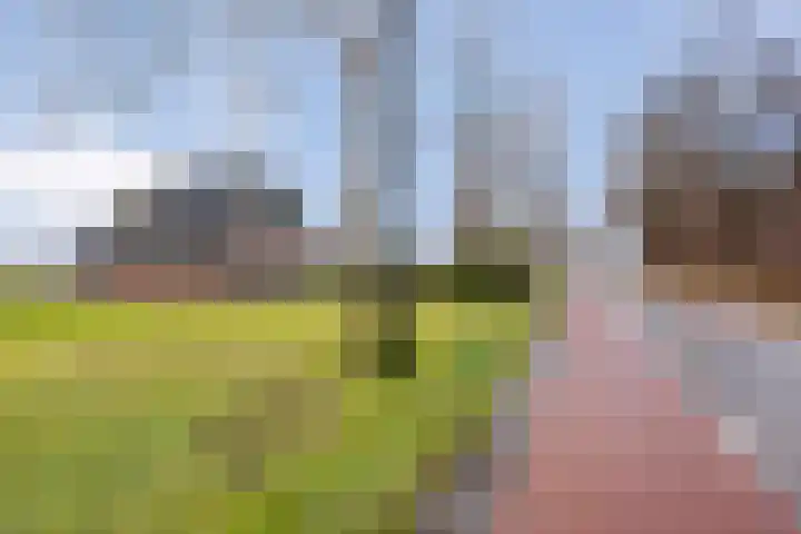 Beerzerhaar 36 a Beerzerveld thumbnail 11