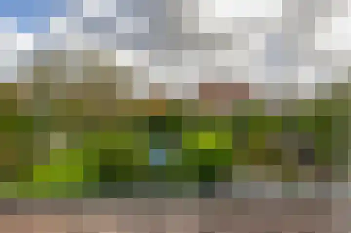 Beerzerhaar 36 a Beerzerveld thumbnail 14