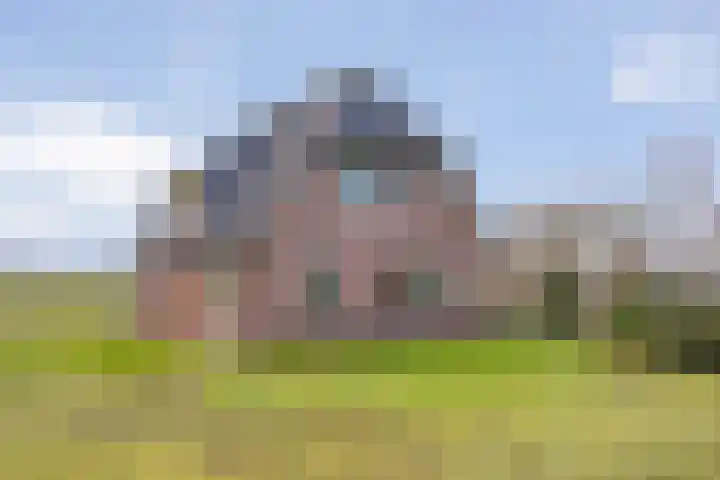 Beerzerhaar 36 a Beerzerveld thumbnail 15