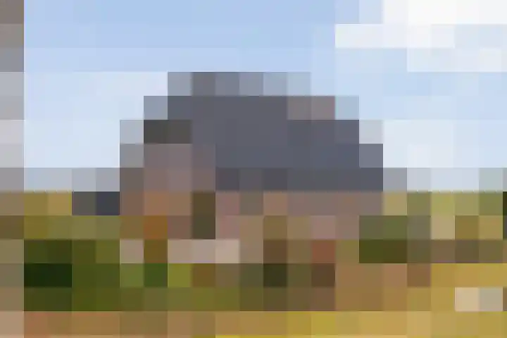Beerzerhaar 36 a Beerzerveld thumbnail 17