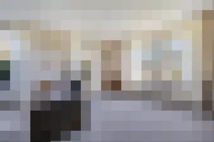 Beerzerhaar 36 a Beerzerveld thumbnail 26
