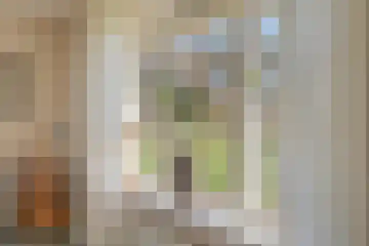 Beerzerhaar 36 a Beerzerveld thumbnail 27
