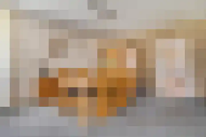 Beerzerhaar 36 a Beerzerveld thumbnail 29