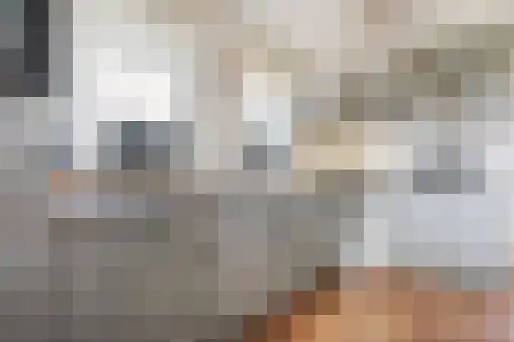 Beerzerhaar 36 a Beerzerveld thumbnail 34