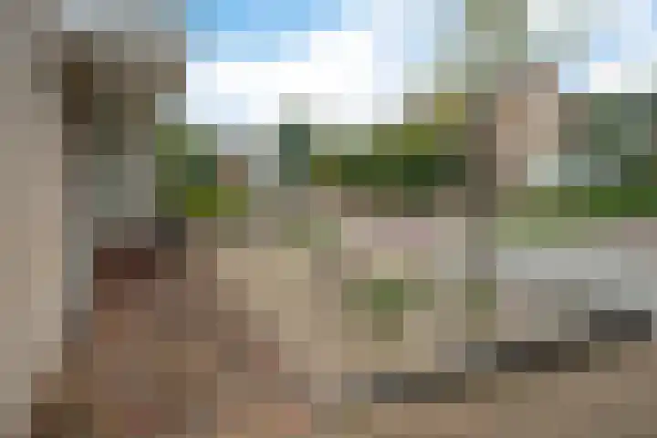 Beerzerhaar 36 a Beerzerveld thumbnail 46