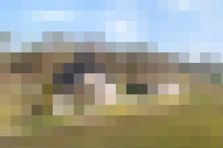 Beerzerhaar 36 a Beerzerveld thumbnail 55