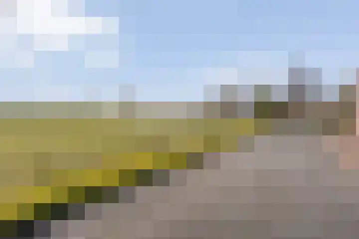 Beerzerhaar 36 a Beerzerveld thumbnail 67
