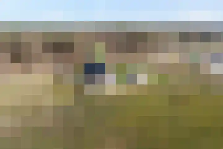 Beerzerhaar 36 a Beerzerveld thumbnail 7