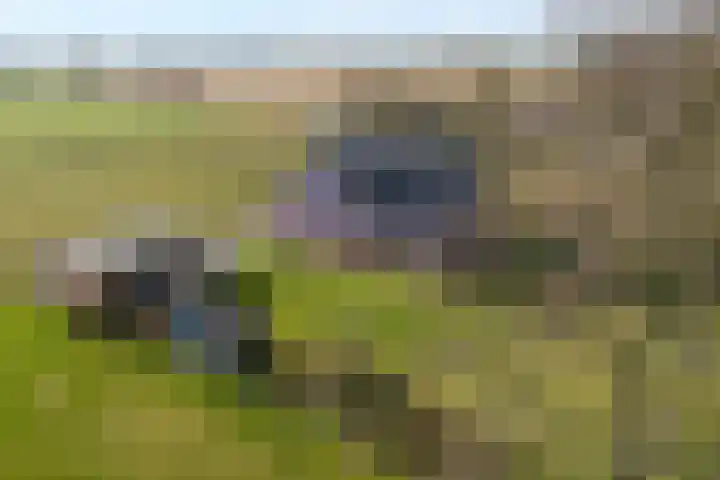 Beerzerhaar 36 a Beerzerveld thumbnail 72