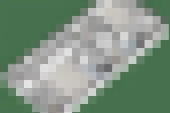 Beerzerweg 18 Beerze thumbnail 101