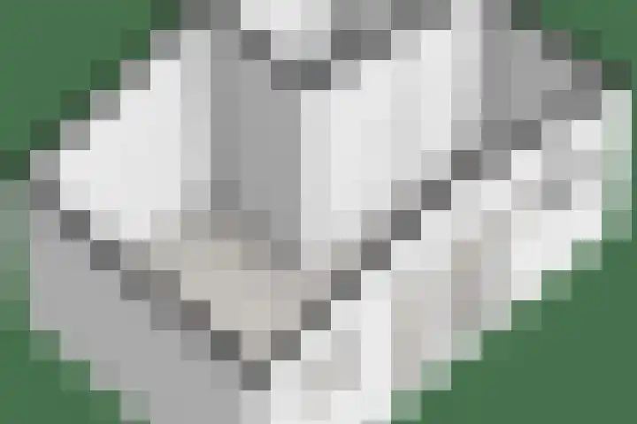 Beerzerweg 18 Beerze thumbnail 112