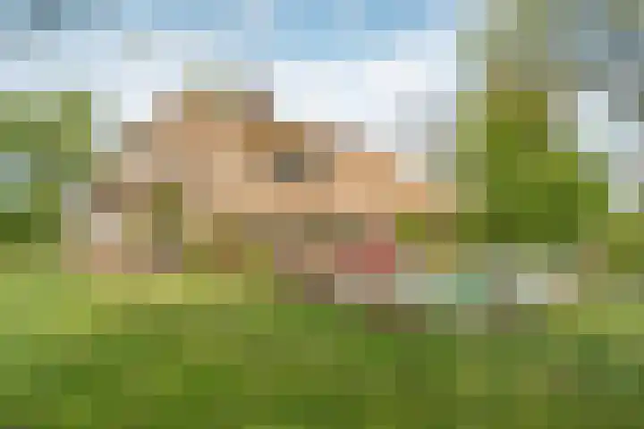 Beerzerweg 18 Beerze thumbnail 114