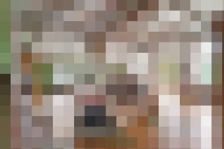 Beerzerweg 18 Beerze thumbnail 17