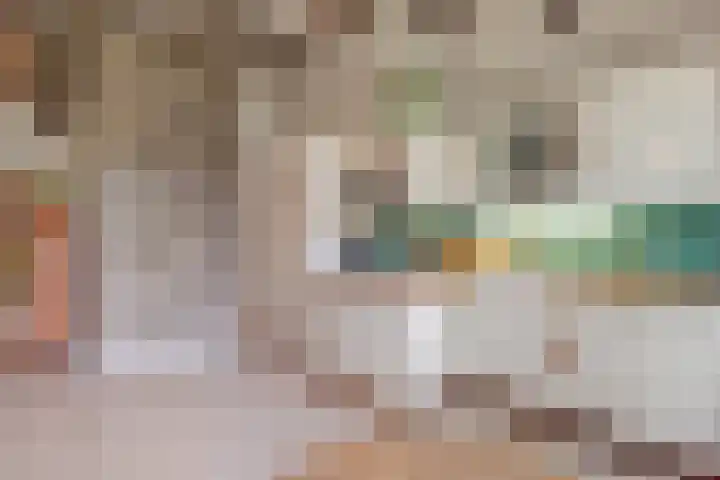 Beerzerweg 18 Beerze thumbnail 40