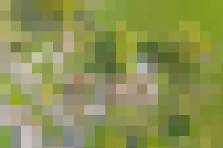 Beerzerweg 18 Beerze thumbnail 6
