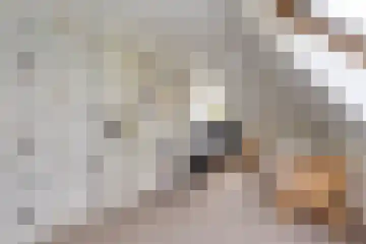 Beerzerweg 18 Beerze thumbnail 64