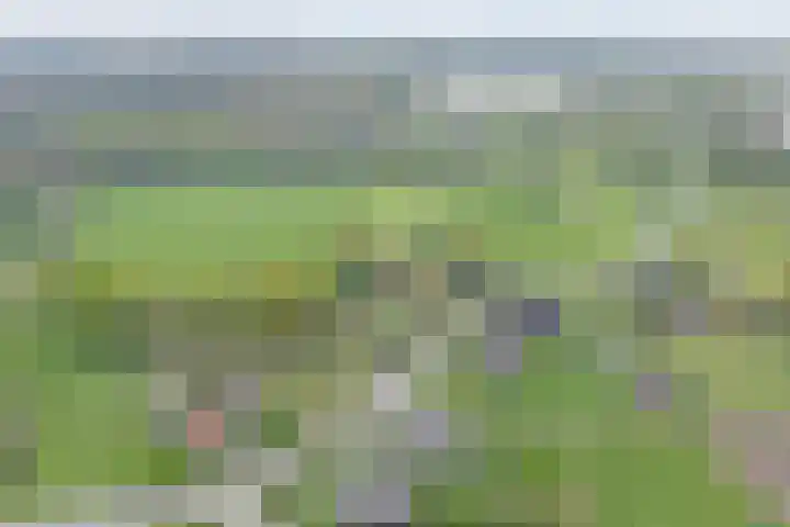 Beerzerweg 18 Beerze thumbnail 7