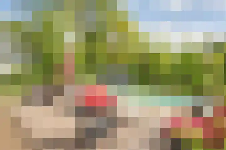 Beerzerweg 18 Beerze thumbnail 73